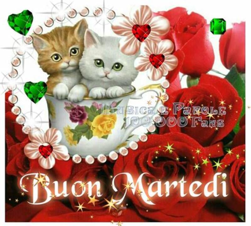 Buon Martedì 2827