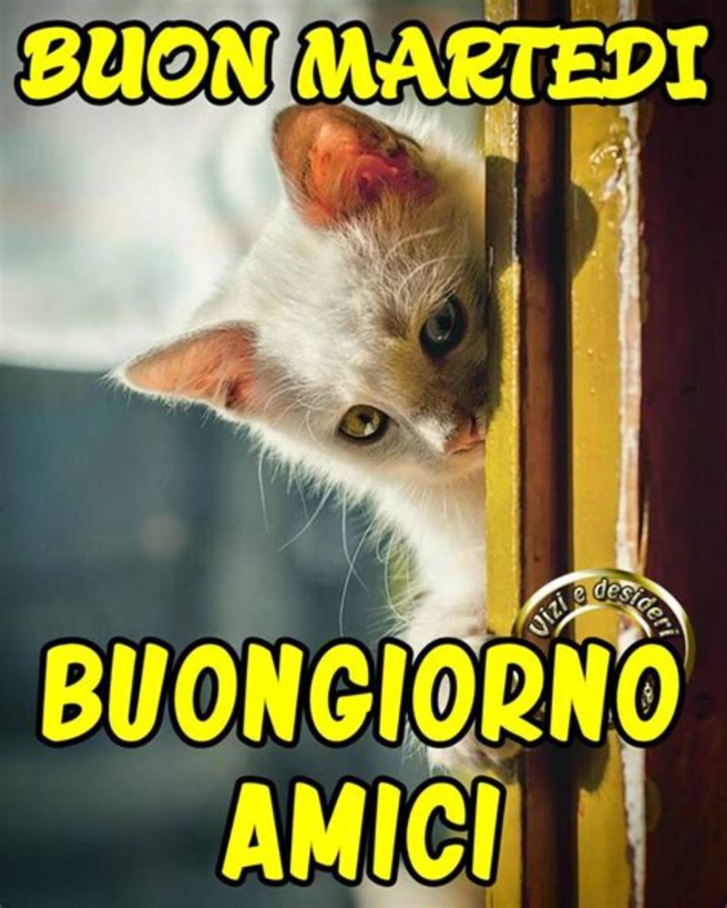 Buon Martedì da mandare su Facebook 3895