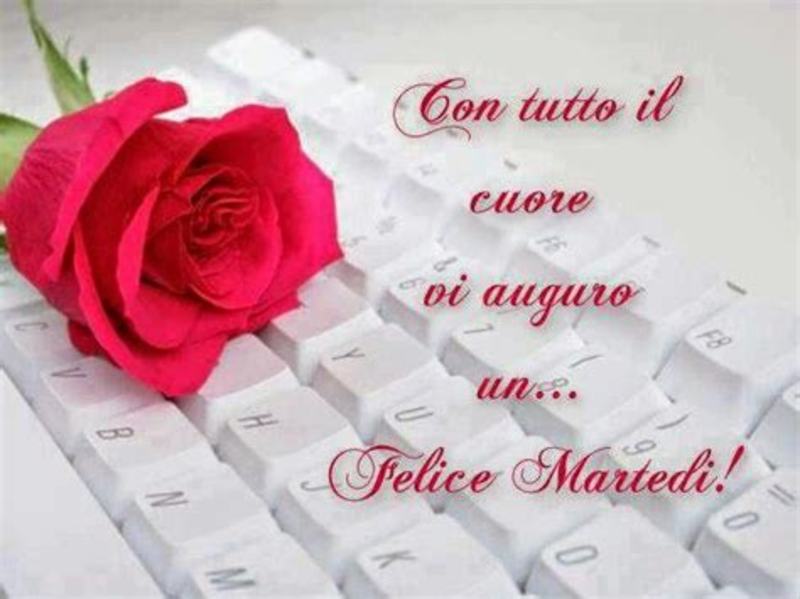 Buon Martedì da mandare su WhatsApp Facebook e Pinterest 4364