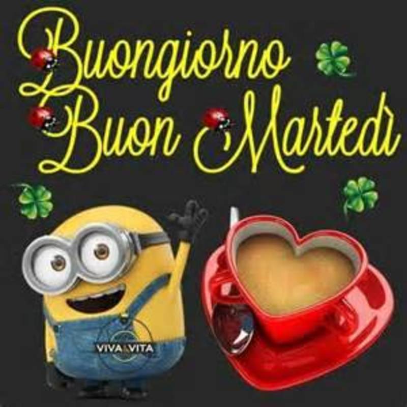 Buon Martedì da mandare su WhatsApp Facebook e Pinterest 4378