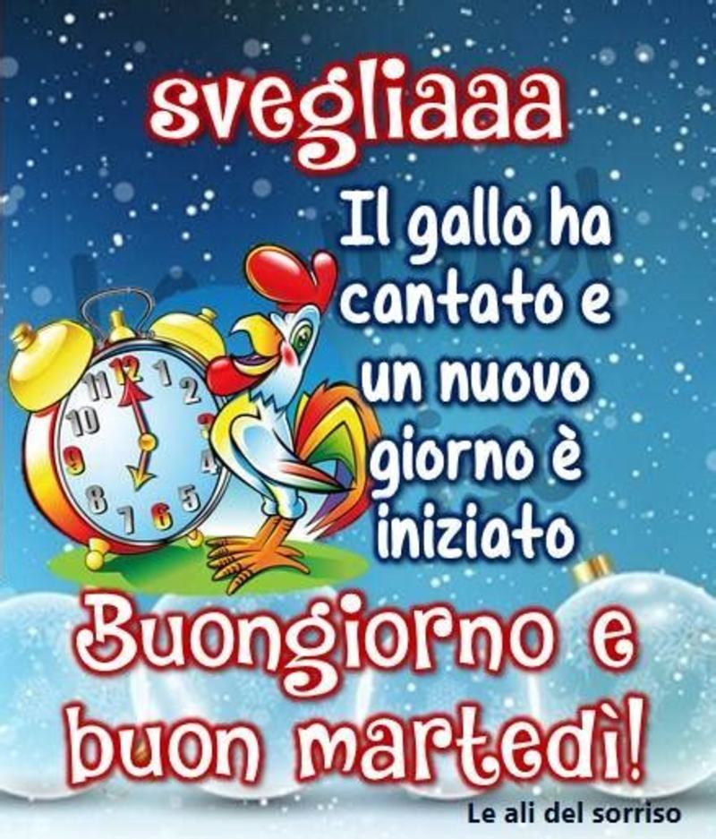 Buon Martedì e Buongiorno scarica ora 4843