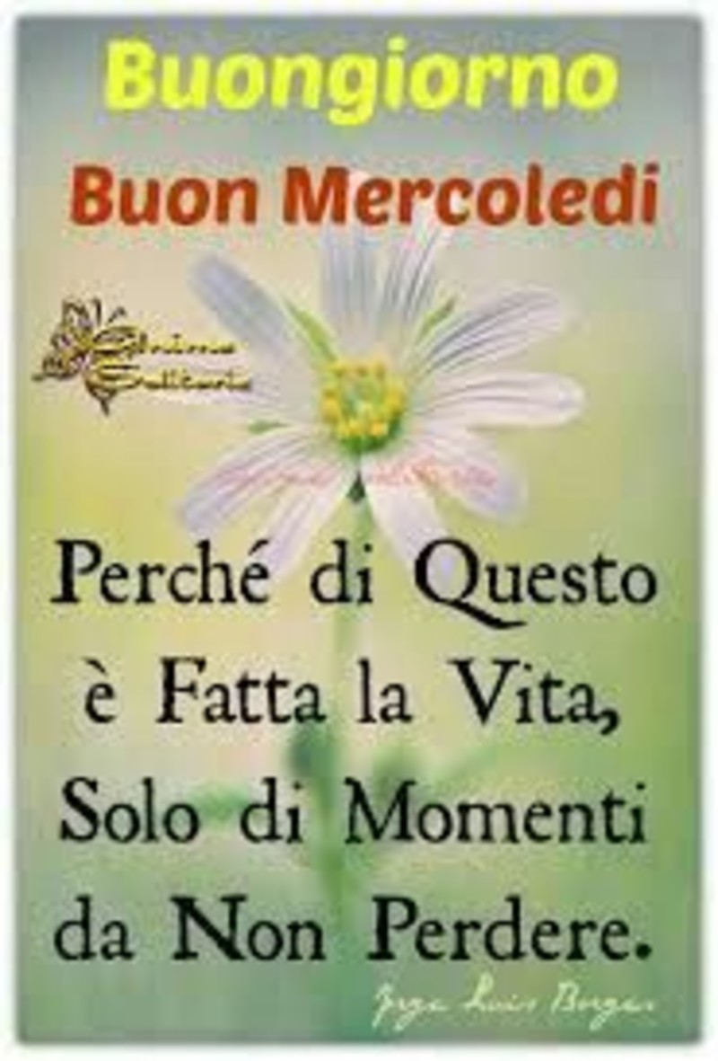 Buongiorno e Buon Mercoledì amici 590