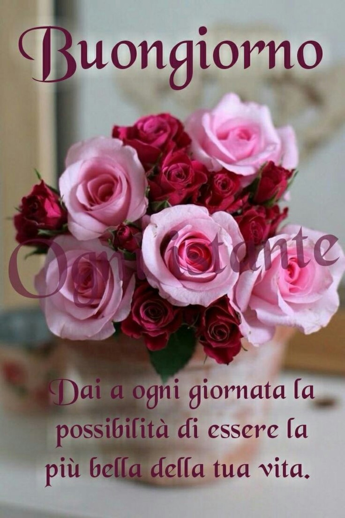 Frasi Buongiorno allegre 7168