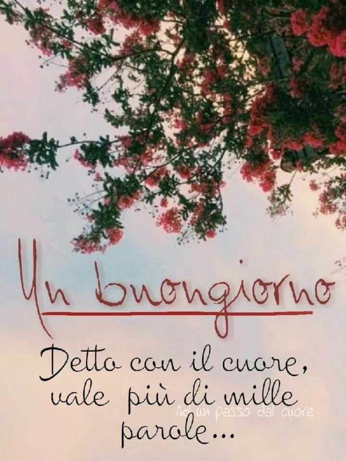 Frasi Buongiorno bellissime 6796