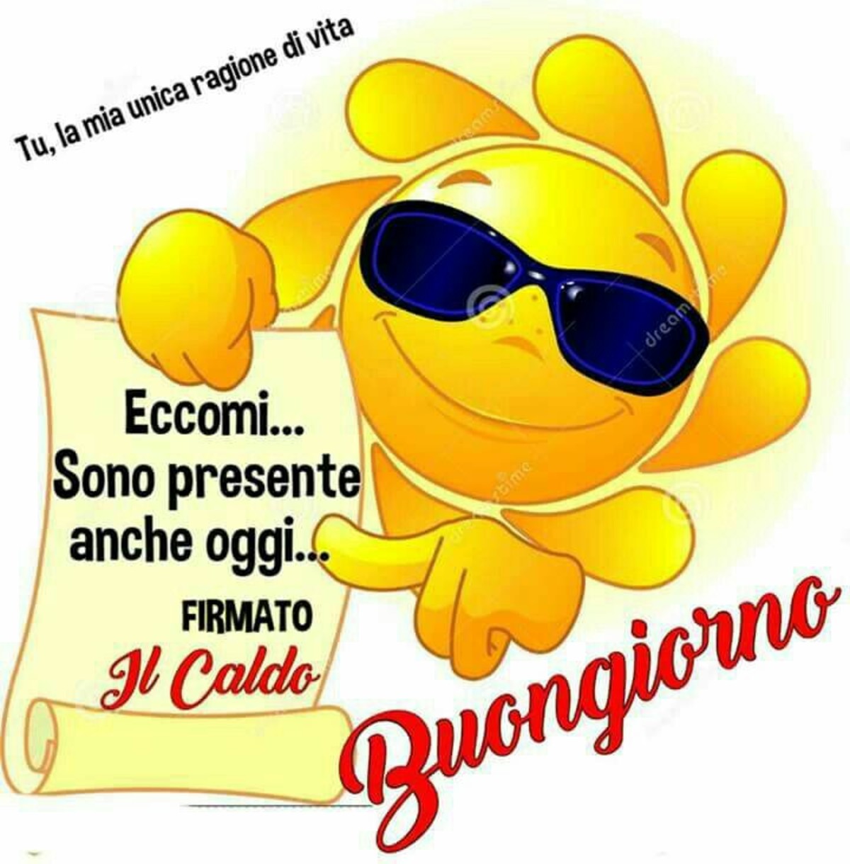 Immagini Buongiorno con le conchiglie 4381