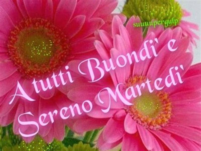 Immagini da inviare gratis sui gruppi buon martedì 6682