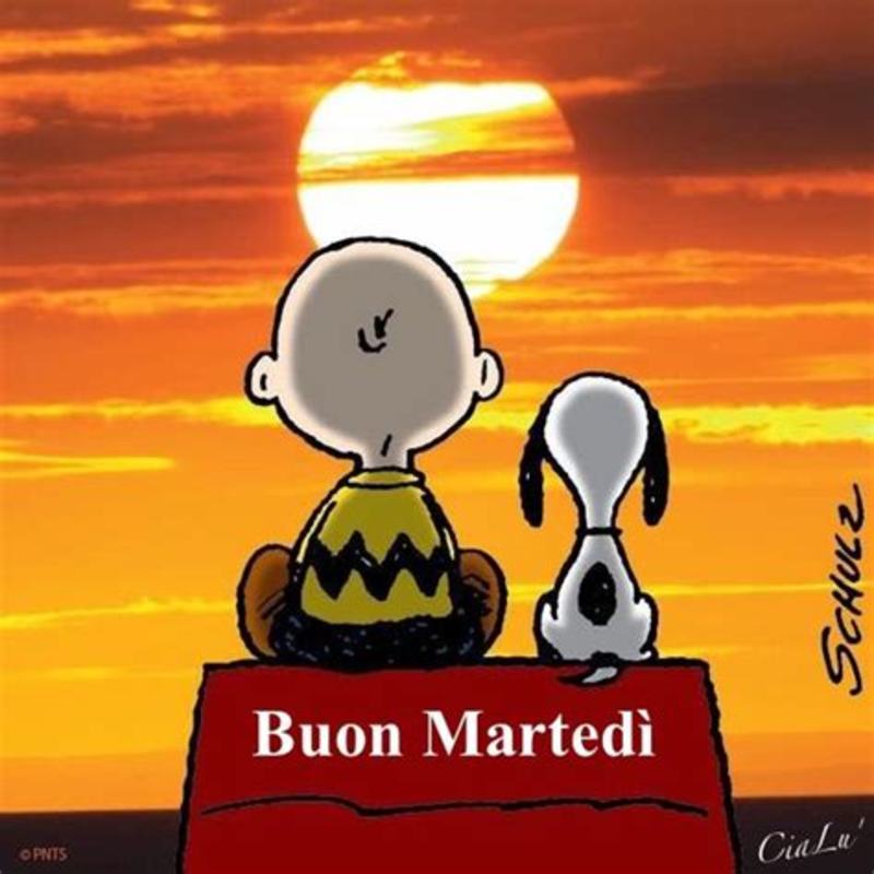 Scarica ora immagini belle buongiorno e buon martedì 9352