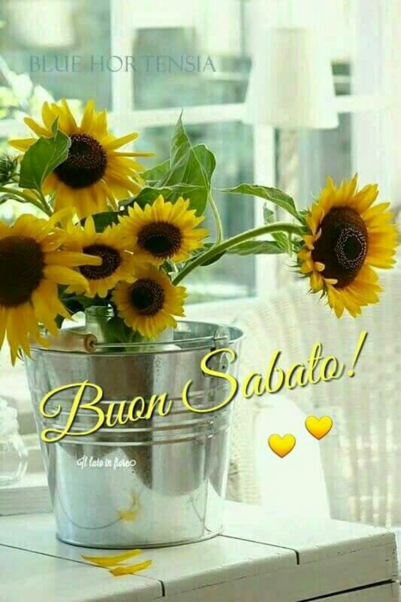 Buon Sabato fiori gialli (1)