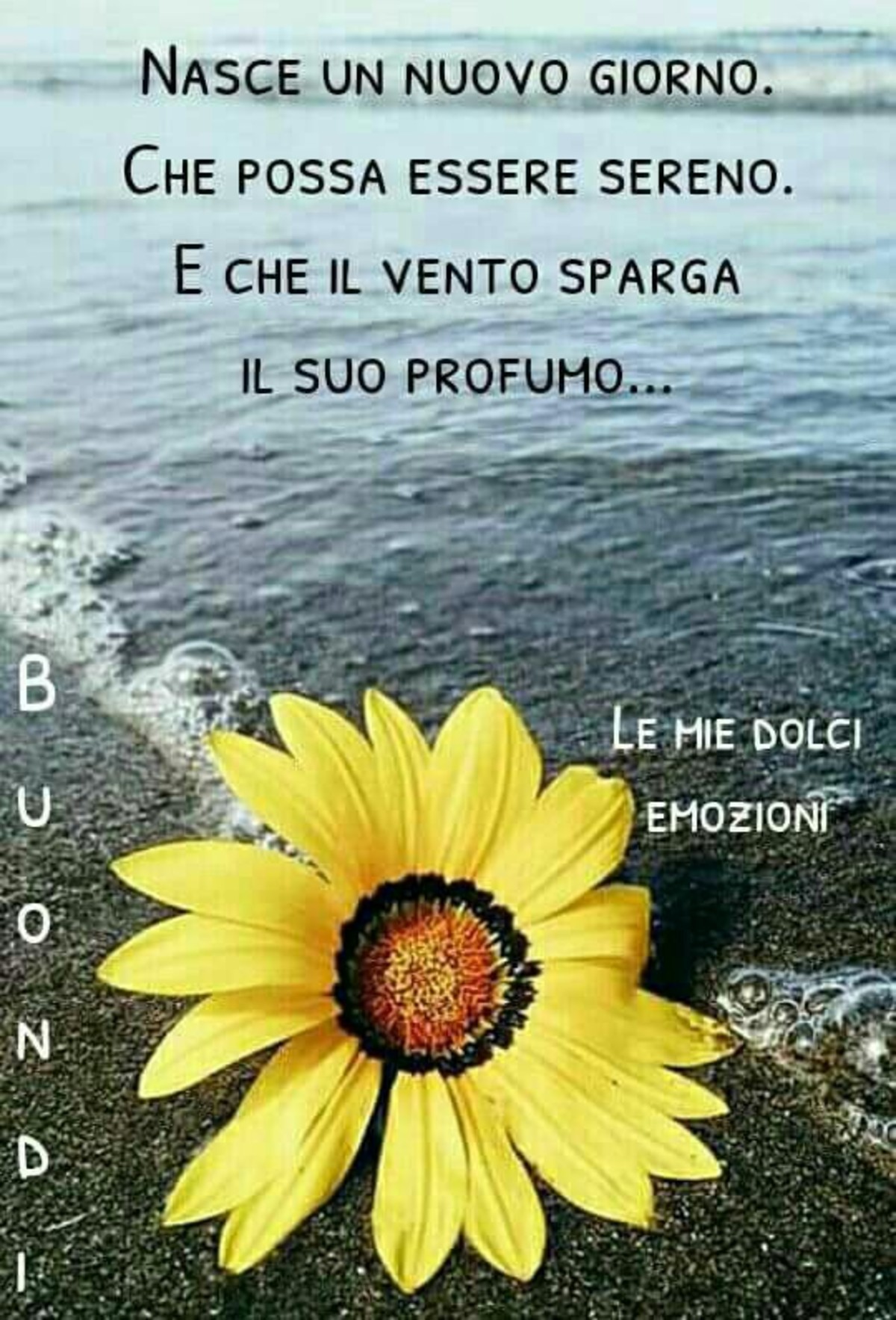 Buongiorno a tutti gli amici 5574