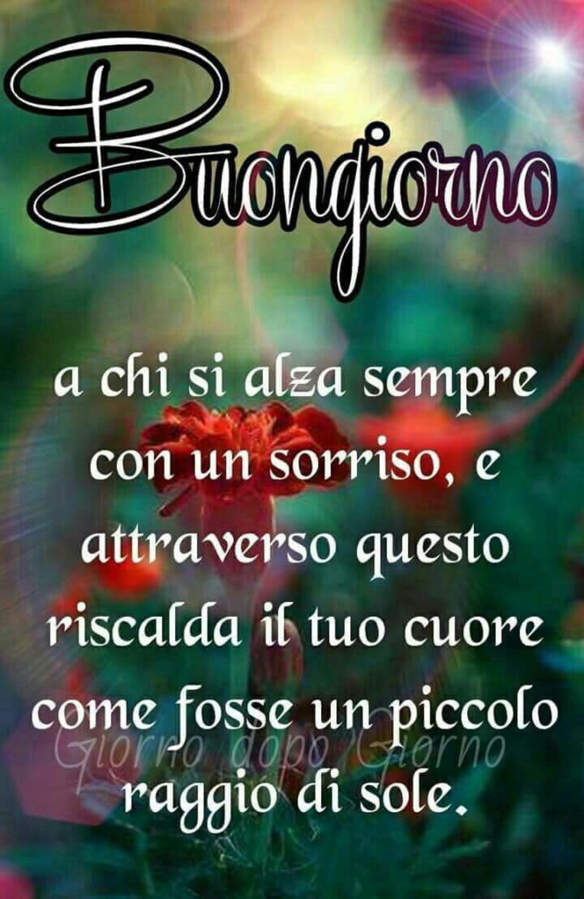 Buongiorno frasi 3296