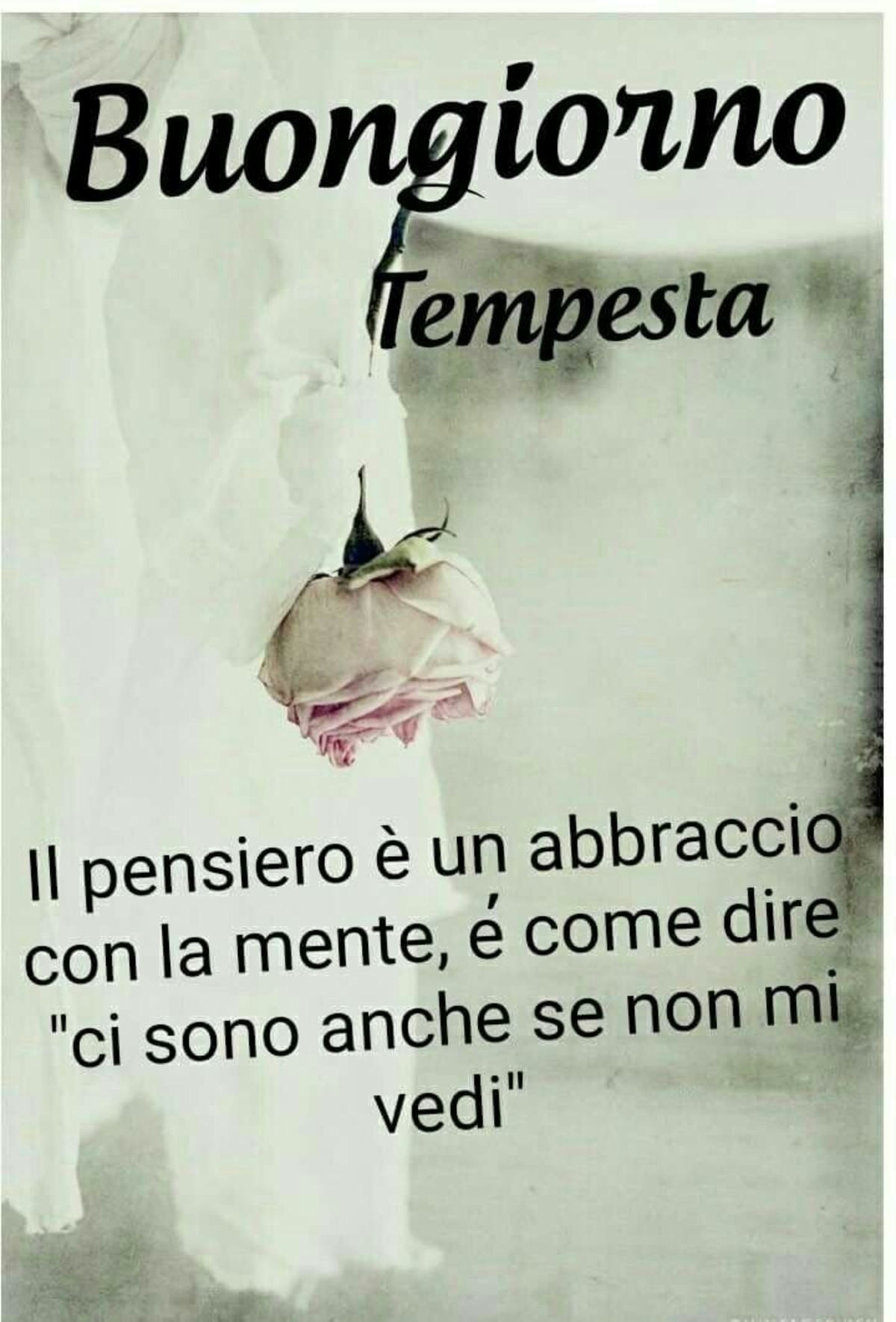 Buongiorno immagini generiche 5972