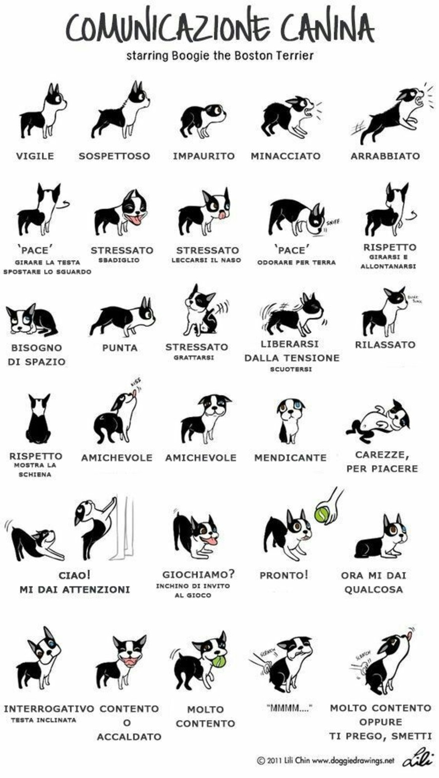 Comunicazione canina trucchi immagini Pinterest