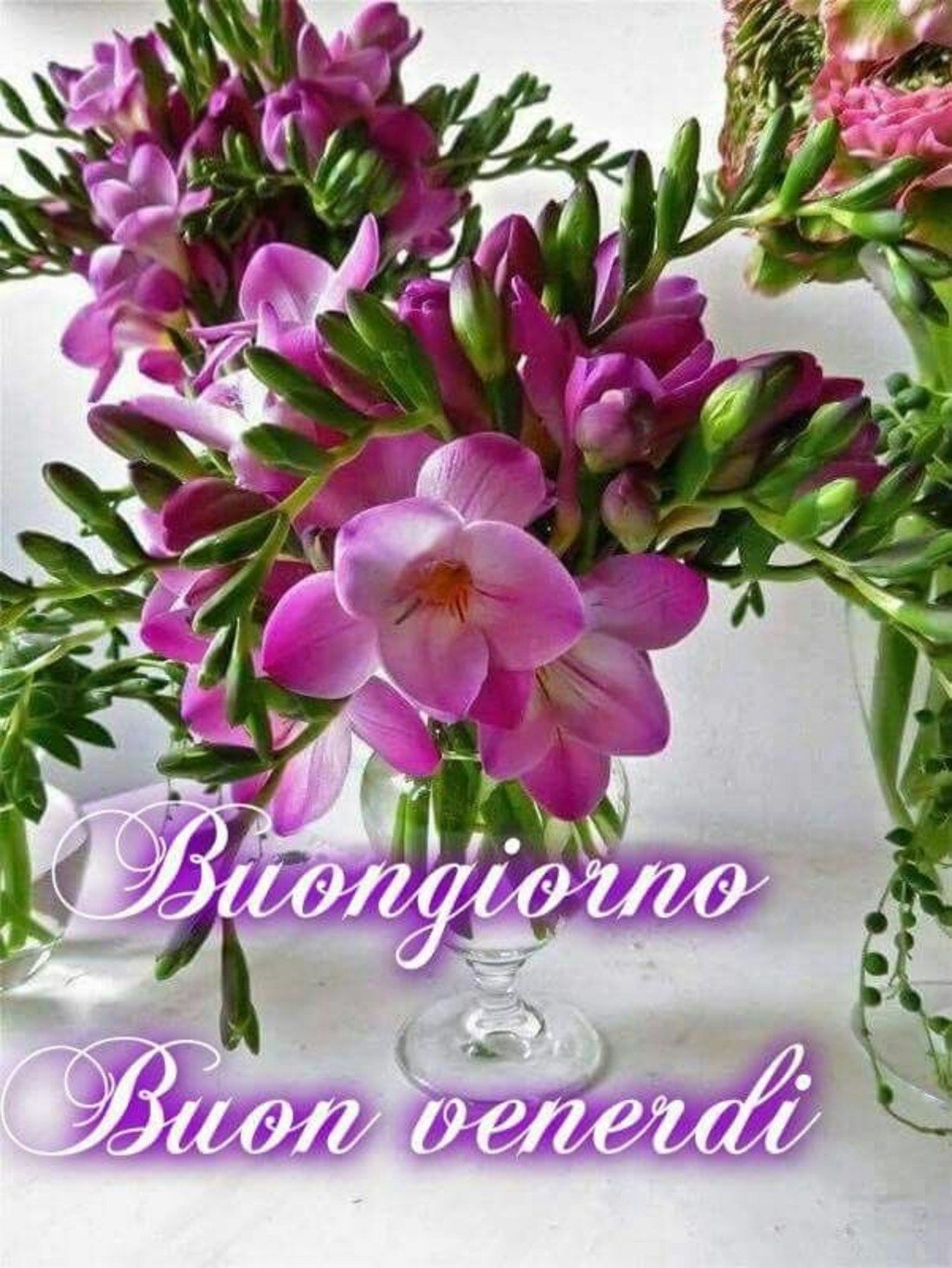 Buon Venerdì 111