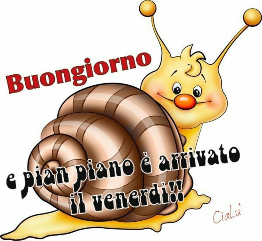 Buon Venerdì 133