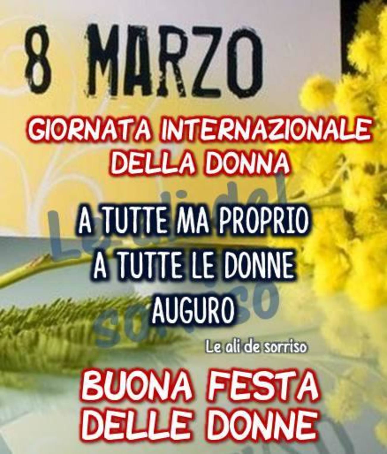 Festa della Donna 1