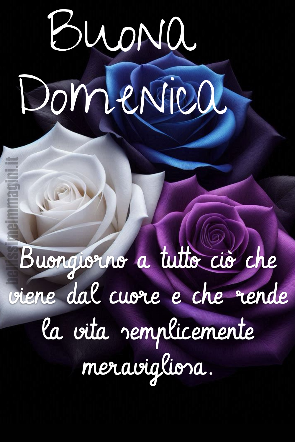 Buona Domenica. Buongiorno a tutto ciò che viene dal cuore e che rende la vita semplicemente meravigliosa