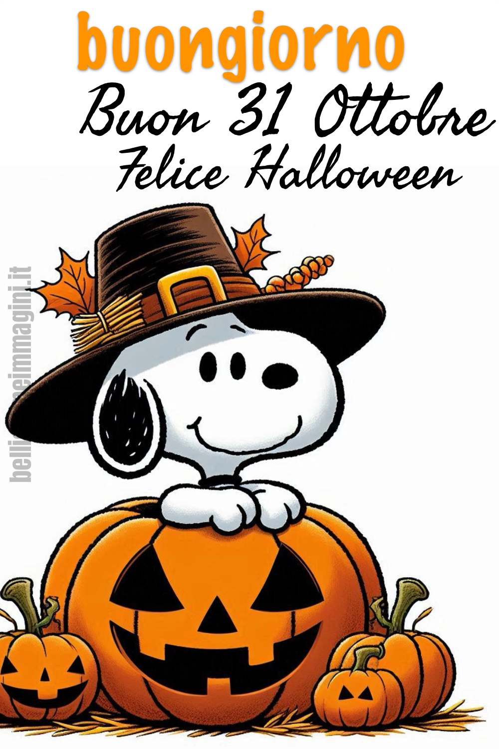 Buongiorno. Buon 31 Ottobre, Felice Halloween