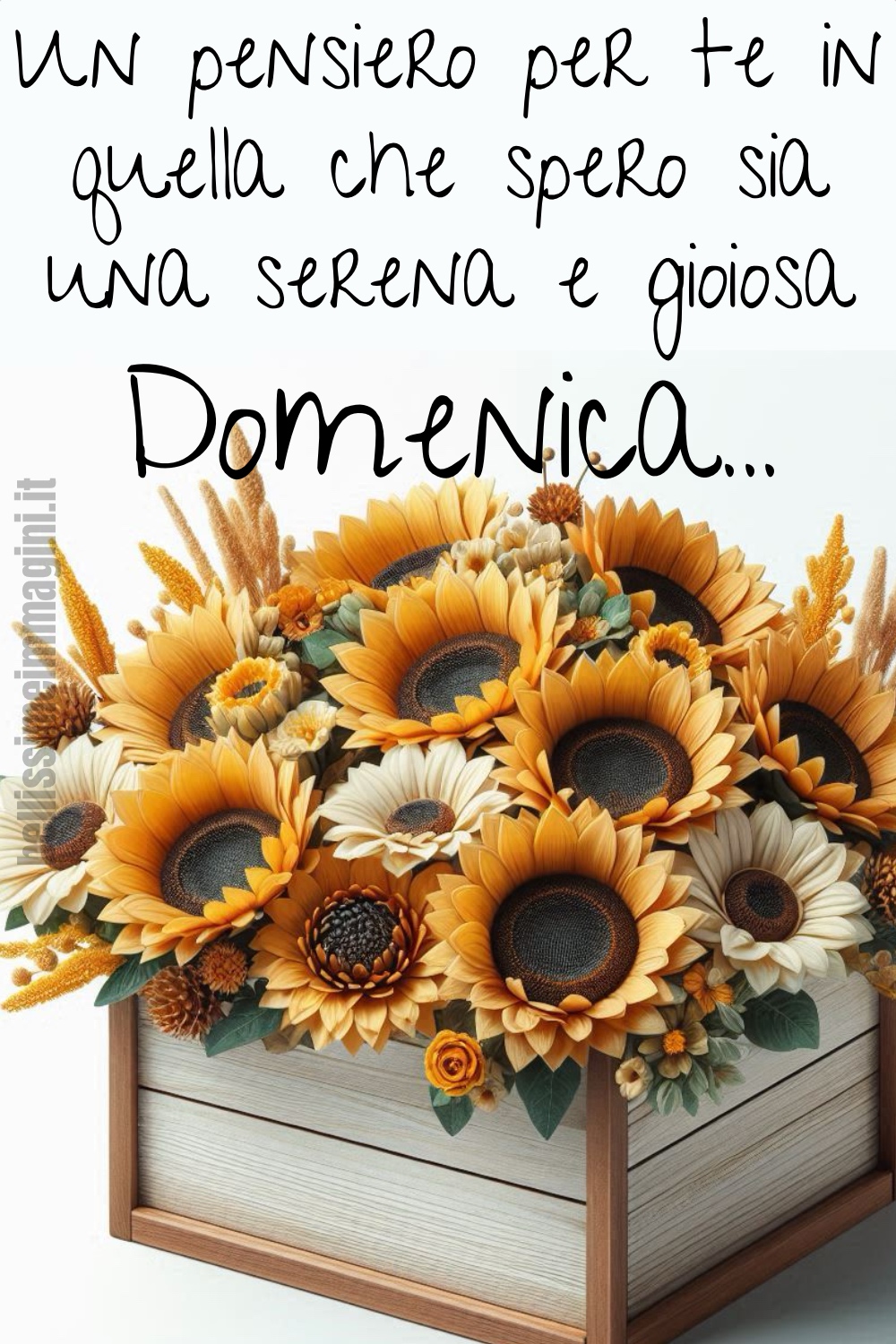 Link di buon giorno e Buona Domenica con i fiori di girasole