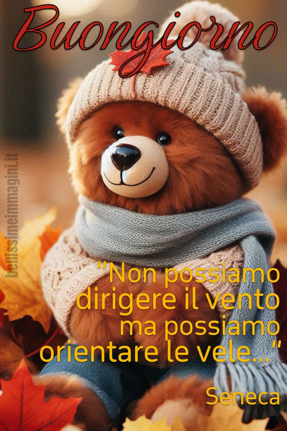 Buongiorno. Non possiamo dirigere il vento, ma possiamo orientare le vele. Seneca