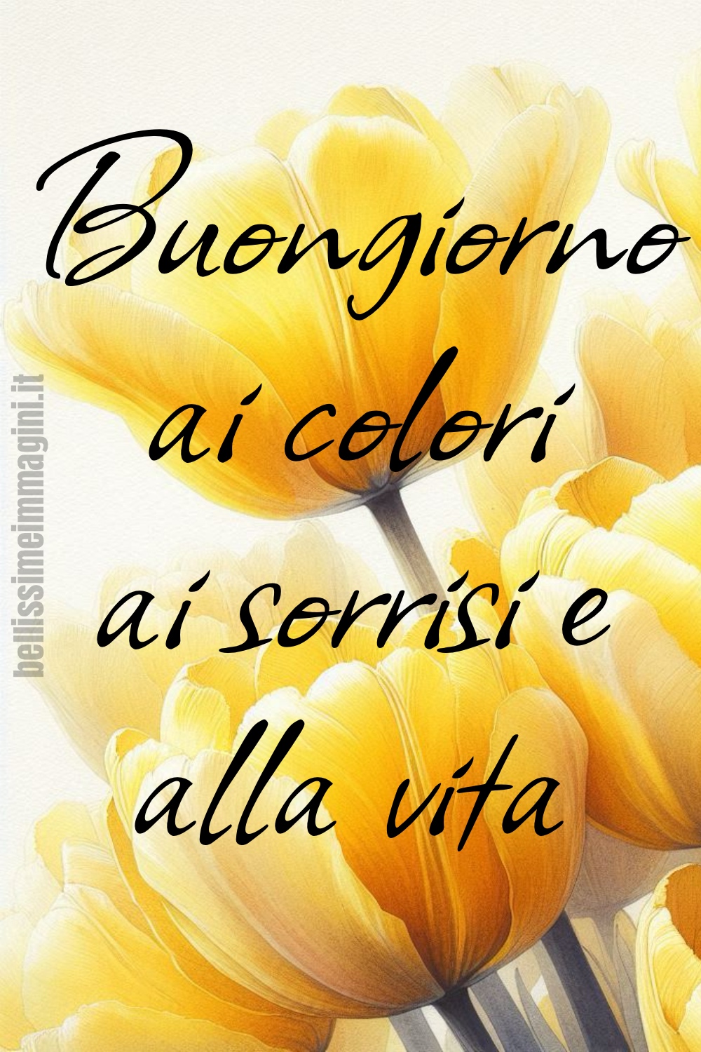 Buongiorno ai colori, ai sorrisi e alla vita